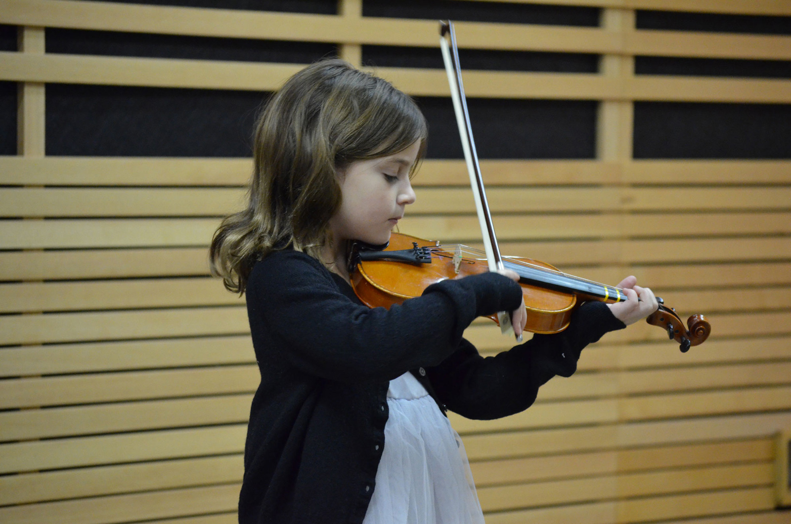 https://www.squamishacademyofmusic.com/wp-content/uploads/2022/05/violin.jpg